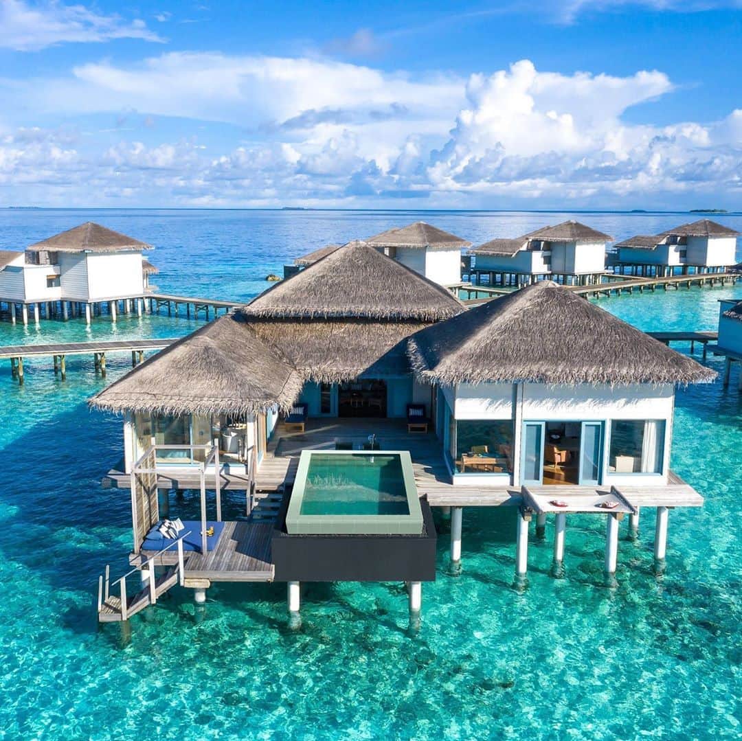 Earth Picsさんのインスタグラム写真 - (Earth PicsInstagram)「Dreaming of finally visiting the Maldives? How about a luxurious stay in a two-private islands, some nights on the beach and in an overwater villa? You are in luck as @rafflesmaldives is giving away the Best of the Maldives offer which includes daily breakfast and dinner, airport transfers and spa treatments. You have 12 months to redeem the voucher but hurry, this special offer will not be available after September 9th. CLICK LINK IN OUR PROFILE BIO #sp」9月7日 6時17分 - earthpix