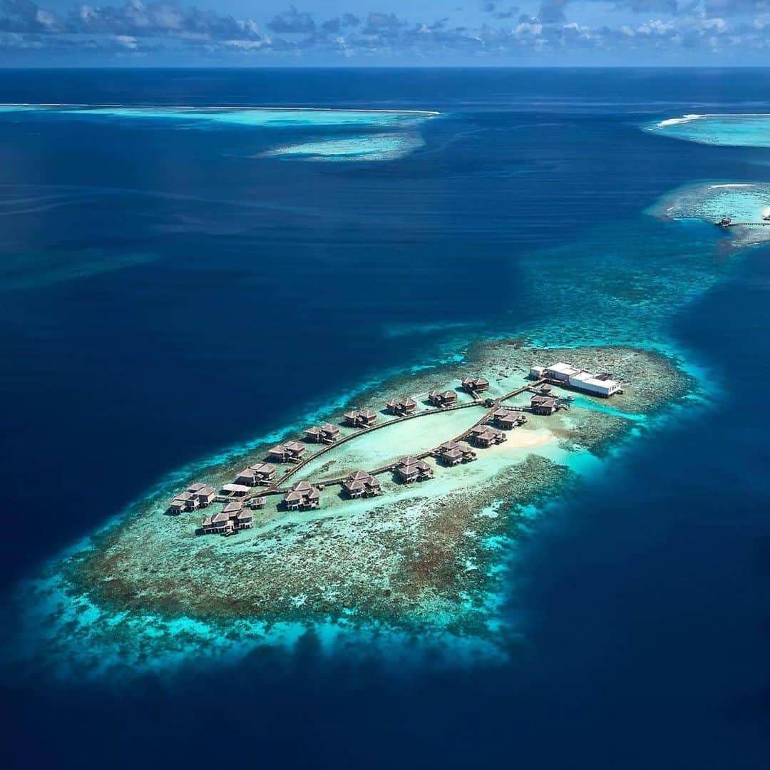 Earth Picsさんのインスタグラム写真 - (Earth PicsInstagram)「Dreaming of finally visiting the Maldives? How about a luxurious stay in a two-private islands, some nights on the beach and in an overwater villa? You are in luck as @rafflesmaldives is giving away the Best of the Maldives offer which includes daily breakfast and dinner, airport transfers and spa treatments. You have 12 months to redeem the voucher but hurry, this special offer will not be available after September 9th. CLICK LINK IN OUR PROFILE BIO #sp」9月7日 6時17分 - earthpix