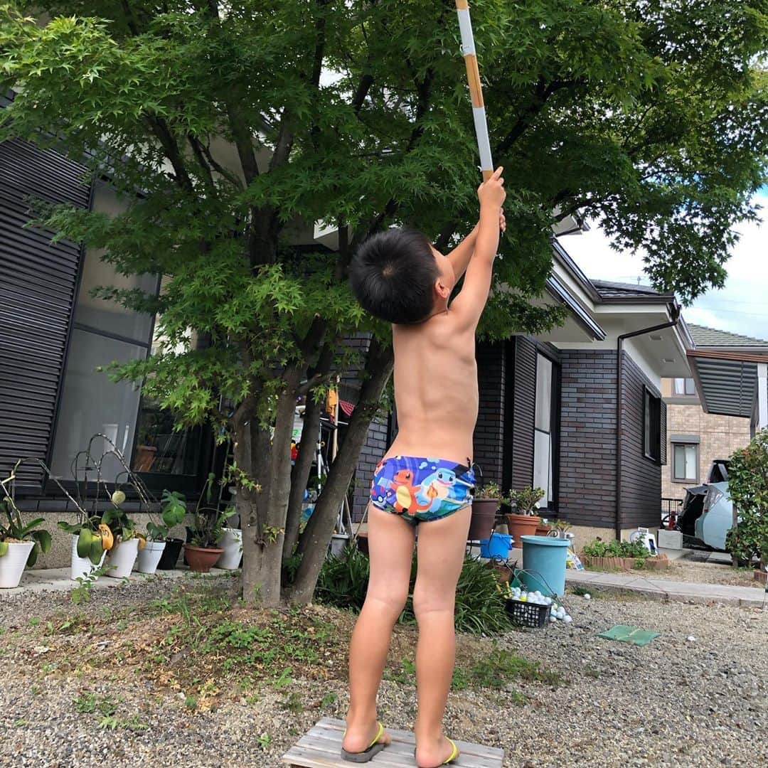 生島早織さんのインスタグラム写真 - (生島早織Instagram)「台風前に、庭のプールやテントを撤去⛺️  やっと片付いたら、まだ雨降ってないからプールに入りたいと言う長男😂  だから〜・・・  と、説明しても既に水着に着替えてる😆  次男は洗濯物を取り入れるお手伝い❤️  いつものお手伝い好きの長男は木の上が気になるらしく・・・🌳  最終的にはデッキブラシ🧹を振り上げていました😆  そして、明日から全日保育。  願書提出して説明を受けた時、双子達の学年はお昼寝時間ありますか？ って聞いたら、ありません‼️  間違いなくそう聞きましたよ！  それなのに・・・  土曜日の連絡帳に、月曜日から午後に休憩時間あるのでお布団持って来て下さい！  って・・・  えーΣ('◉⌓◉’)  あの時聞いたやん💦  そっか！ 寝る時間あるかどうかではなく、お昼寝セットが必要かどうかを聞けば良かったのか💦💦💦  日曜日午前。 お昼寝マットを買い生地屋さんをはしご🚙 午後、子供達と遊びながら、邪魔されながらミシンを使う💨💨💨  お昼寝マットのカバーと、専用バッグ👜  お昼寝マットは自宅で使うならそのまま使っていたと思いますが、園で使うなら洗いやすいようにしたい。と、言うとこですっぽりかぶせられるカバーを作りました。  今回は、専用バッグ用に選んだ生地は、長男はお猿のジョージ🐒 次男、はらぺこあおむし🐛  全てのものに名前を付けて完成！  もう少し時間に余裕があったら、ボタンやマジックテープでも付けたかな？ 取り敢えず、明日はこれで待って行ってもらおう。  もー前もって言ってよね〜😅  #双子育児 #双子ママ #双子それぞれ #一時帰国 #幼稚園準備 #聞いてないよー #4歳のお手伝い #twinstagram  #4yearsold  #全日保育開始」9月7日 6時50分 - saori.ikushima