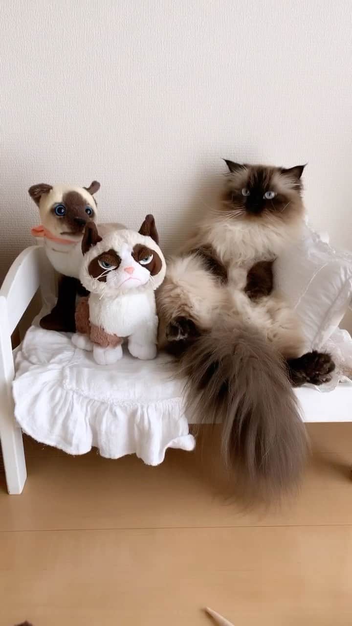 plumeのインスタグラム