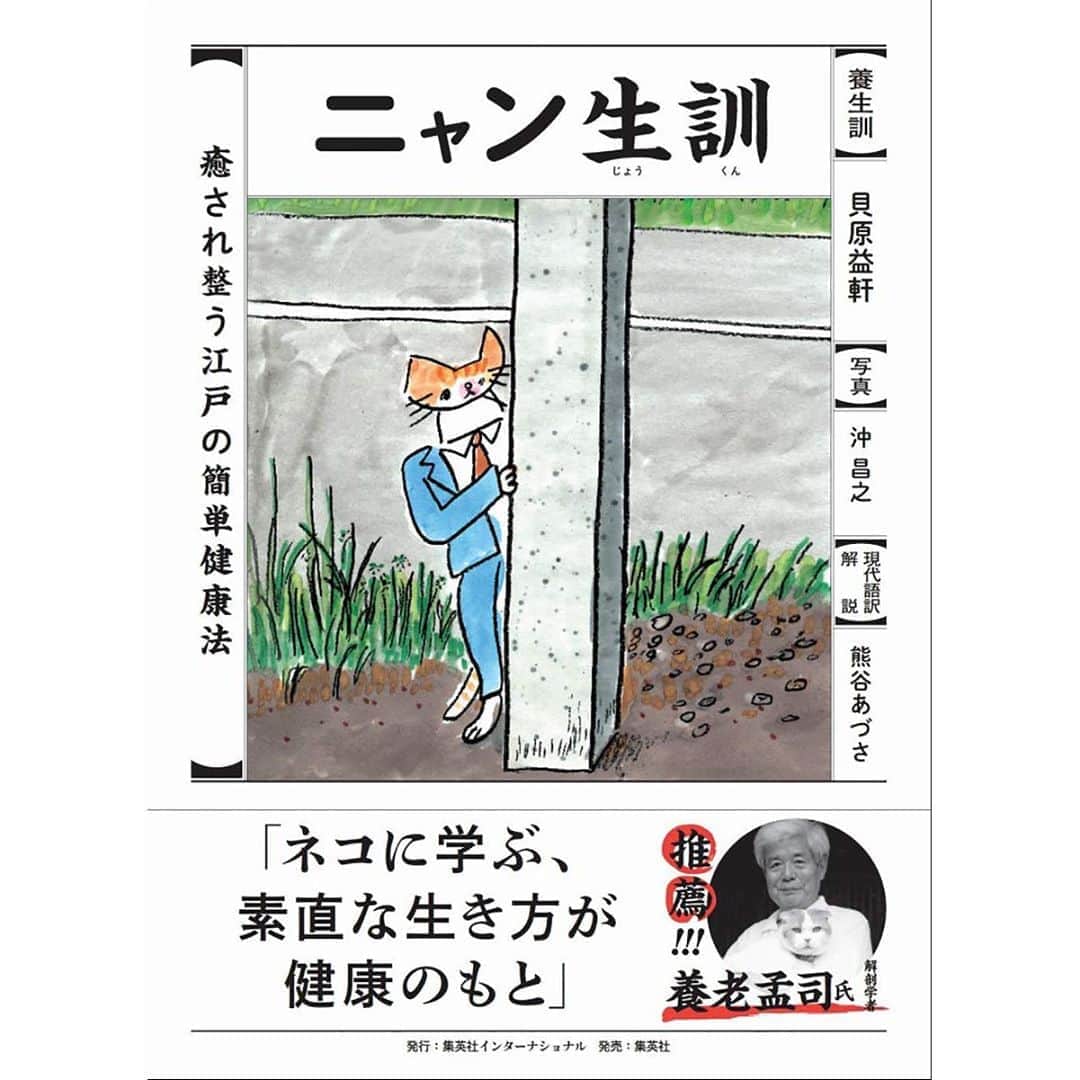Masayukiさんのインスタグラム写真 - (MasayukiInstagram)「ライターの#熊谷あづさ さんのお力を借りて 江戸時代の健康指南書 『養生訓』 と ねこ写真が コラボした #ニャン生訓  が発売されます。  #貝原益軒 さんと名前を並べるときが来るなんて！  表紙も含めて イラストは漫画家の #堀道広 さん、 デザインは #根本真路 さん。 帯は #養老孟司 さんが書いてくださいました。 ありがとうございます。  このような機会をくださった 集英社インターナショナルさん 誠にありがとうございます。  江戸時代から300年経っても 読み続けられてる本ってすごいですよね。 心の健康も含めての健康を ぼくの撮ったねこ写真を交えて おもしろく勉強できちゃう本に仕上がりました！  発売日は9月25日。 ぜひ手に取ってみてくださいね！  #cat #ねこ」9月6日 23時10分 - okirakuoki