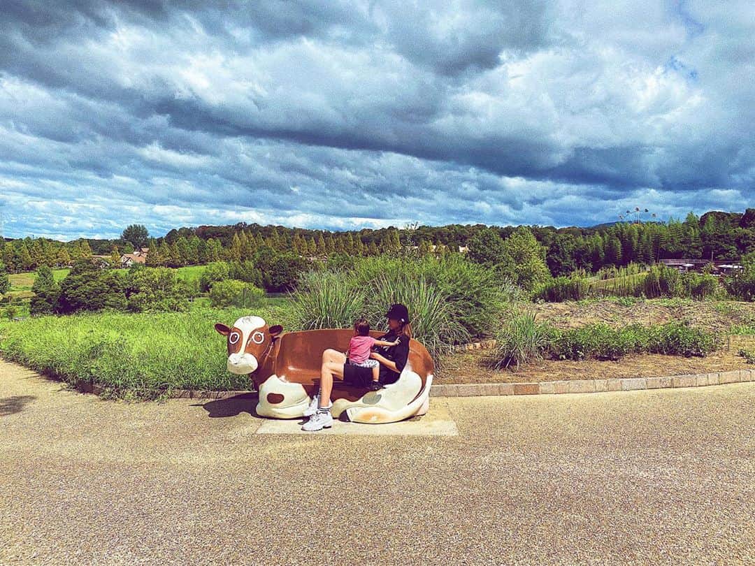 七菜香のグルメインスタ