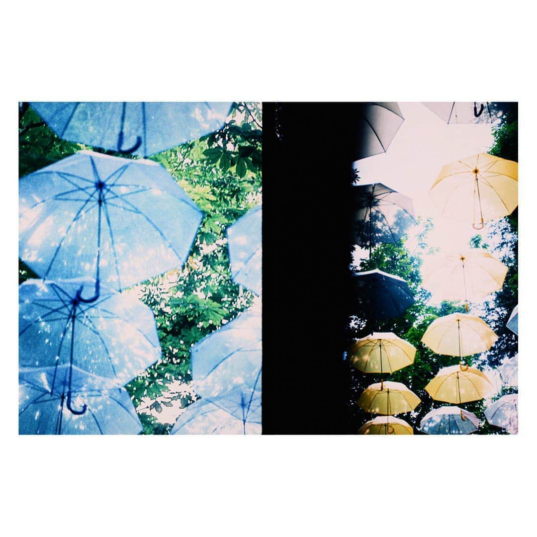 YUNA（芳森由奈）さんのインスタグラム写真 - (YUNA（芳森由奈）Instagram)「. 傘　救　灯 . 雨止みますように、、、」9月6日 23時20分 - yoshimoriyuna
