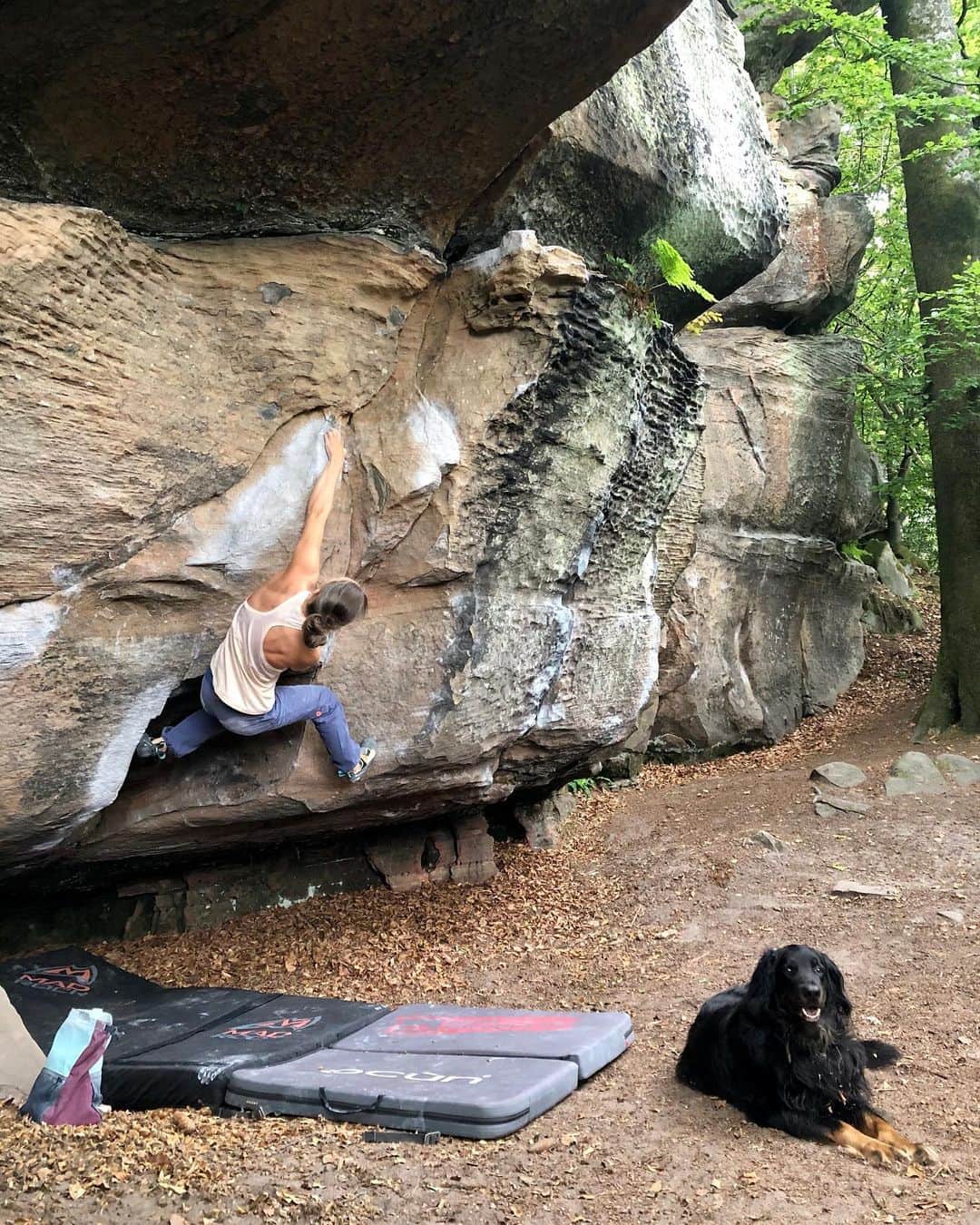 モニカ・レッツィーのインスタグラム：「Happy bouldering ❤️  #noplacetoofar #wearemarmot #bornwild #happy #bouldering #t-rex @marmot_mountain_europe @scarpa_de」