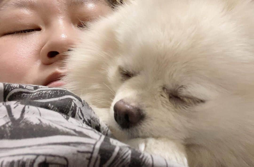 やしろ優さんのインスタグラム写真 - (やしろ優Instagram)「寝る時もこんなにくっついて寝るよ。  おやすみー♪」9月6日 23時32分 - yashiroyuuuu