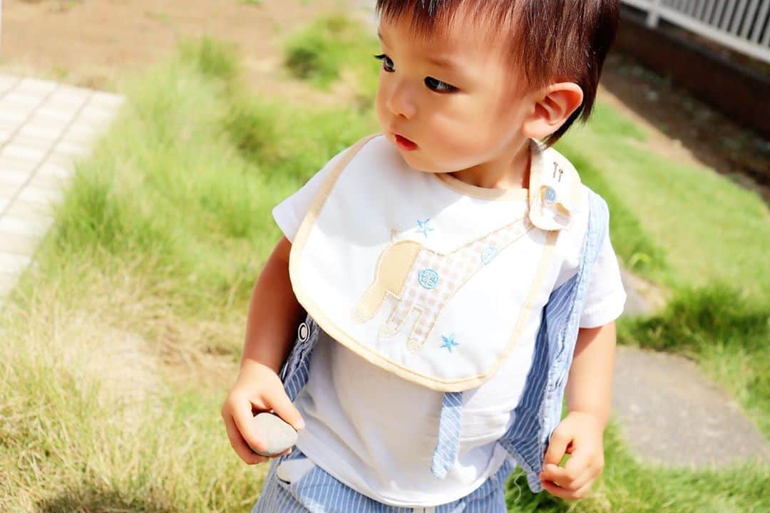 Momoeのインスタグラム：「#happy #家事 #育児 #family #家族 #boy #smile #男の子 #息子 #code #love #lucky #kids #子供 #thankyou #宝物 #ベビー #fashion #follow #心 #縁 #パパ #ママ #家族写真 #男の子ママ #赤ちゃん写真 #photo #子育て #1歳 #flower」