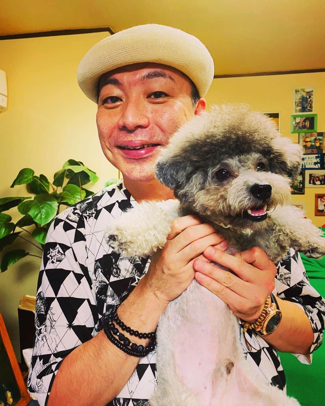 のインスタグラム：「うちのコよ〜 っていいたいですが😍🐶💓💓💓💓💓  仲良し先輩‼️歌真呂さん家の ワンちゃん🐶🐶  くろ吉くん、とアンジュちゃんよ〜🐶🐶✨✨✨✨✨  可愛いすぎ〜😍🥰💕💕💕💕💕💕💕💕💕💕💕💕💕💕  それそれー🤟 #美川憲一  #美川憲二 #ヒデコフランセスカ #歌真呂さんのコ #かわいいワンちゃん」