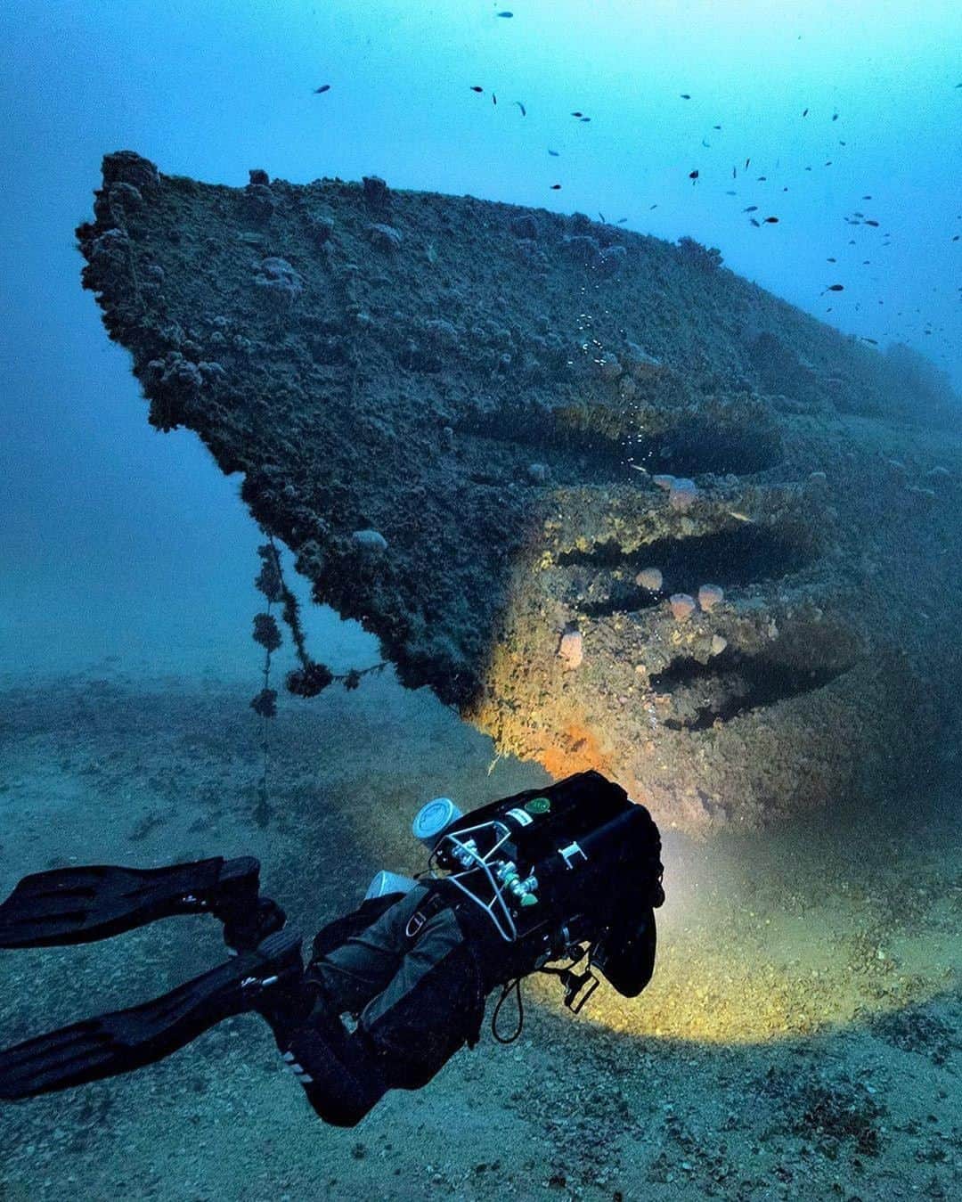 Discover Earthさんのインスタグラム写真 - (Discover EarthInstagram)「Diving into military wrecks.  🌊 #discovertheredsea #discoverthenorthsea with @alex_dawson_photography  #military #wrecks #northsea #redsea」9月7日 0時30分 - discoverearth