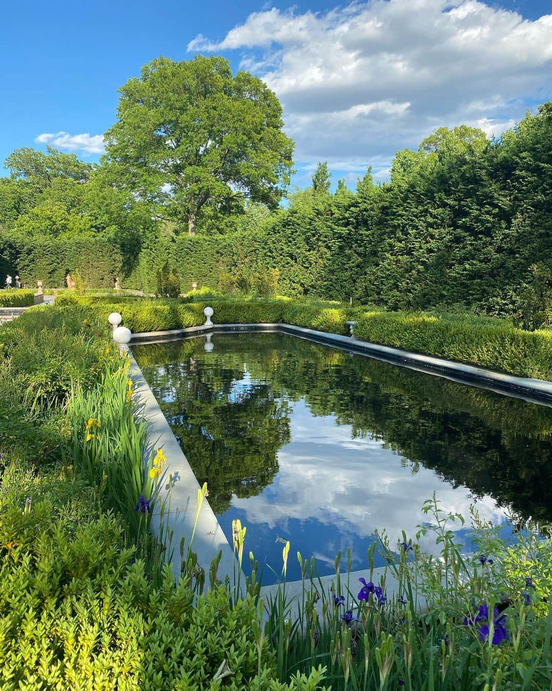 ダフネ・ジョイのインスタグラム：「My calm place 🤍」