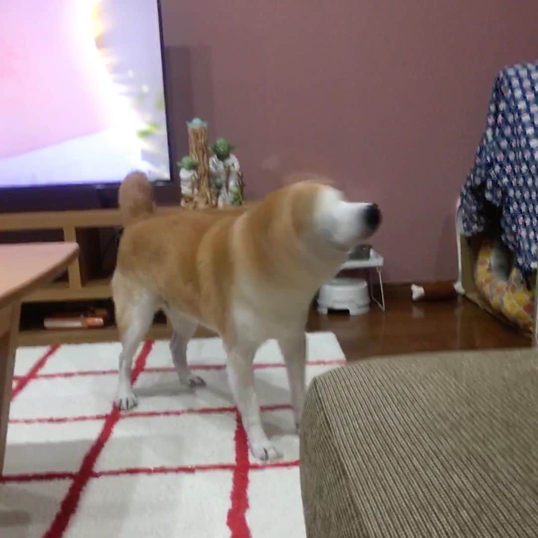 HALFBYのインスタグラム：「🌀」