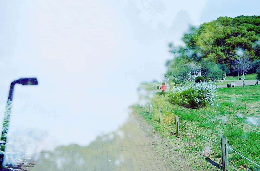 のインスタグラム：「みなさまおやすみなさい🐶 いい夢見ましょう☺️  #goodnight」