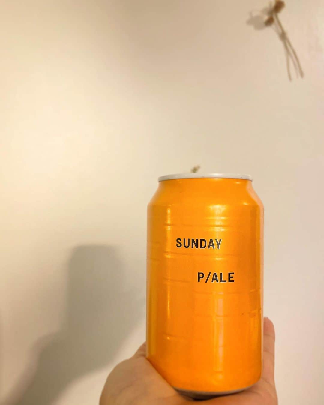 裕木奈江さんのインスタグラム写真 - (裕木奈江Instagram)「こうはっきり書かれると、日曜日に開けなくてはいけない気分になります🍺  中身はペールエールです🤗  #sundaypaleale #paleale #beer #beerstagram」9月7日 2時07分 - nae_yuuki