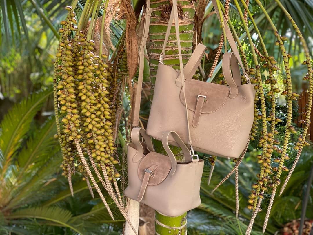 のインスタグラム：「Medium or Mini ? ⠀⠀⠀⠀⠀⠀⠀⠀⠀ Taupe ⠀⠀⠀⠀⠀⠀⠀⠀⠀ ⠀⠀⠀⠀⠀⠀⠀⠀⠀ 🆕🆕🆕🆕🆕🆕」