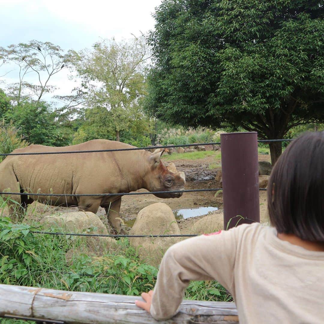 奥山佳恵さんのインスタグラム写真 - (奥山佳恵Instagram)「・ 動物園へ行きました！  美良生にとってはじめての。 美良生のバースデーウィークなので！ (いつまでも祝い続けている家族)  そーいえば美良生は 動物の名前が言えるのに 動物園に行ったことがない、 リアルな動物を見たことがない、  ってことに 親より気がついてくれた 空良にーちゃんありがとう。  くわしくは更新したブログに！  @okuyama_yoshie ←ここを経由して 新しくなったプロフィールから ブログにとべます♪  #奥山佳恵#奥山佳恵のてきとう絵日記  #はじめての動物園 #はじめてのゾウ #はじめてのトラ #はじめての #以下略  バースデーウィークは まだまだ続く。もはや  ウィークでもない。 ・」10月6日 10時42分 - okuyama_yoshie