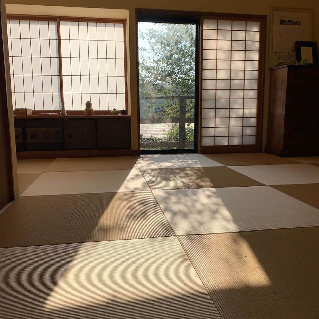 クリス智子さんのインスタグラム写真 - (クリス智子Instagram)「おはようございます。 やっぱり秋の日差し。柔らかい朝です。ワレモコウも、いいかも。  今日も、みなさん、よき一日を！」10月6日 9時11分 - chris_tomoko