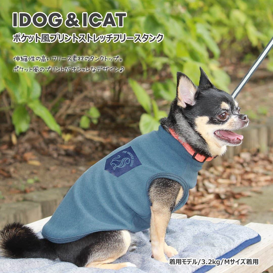 iDog&iCatさんのインスタグラム写真 - (iDog&iCatInstagram)「【1枚1080円～大人気プチプラウェア発売開始！】 . IDOG&ICATでは10/5より、販売開始しております♪ 楽天店舗URL：https://item.rakuten.co.jp/idog/c/0000000129/ . 今スグ着られるお手軽ウェアが4型UP♪ 在庫限りで販売終了になるので、お気に入りが見つかりましたら、お早目にどうぞ★ . IDOG&ICAT公式LINEをお友達登録でお得な情報をゲットしよう！LINE ID『 @idogicat 』で検索♪ . #iDog #iDogiCat #iCat #ペット服 #ドッグウェア #新作 #プチプラ #犬服 #犬の服 #犬の服iDog #犬 #超小型犬 #小型犬 #中型犬 #うちの子優勝 #キャットウェア #猫服 #猫の服 #猫の服iCat #猫 #わんすたぐらむ #dog #にゃんすたぐらむ #cat #チワワ #トイプードル #ミニチュアダックスフンド #MIX犬」10月6日 9時11分 - idogicat