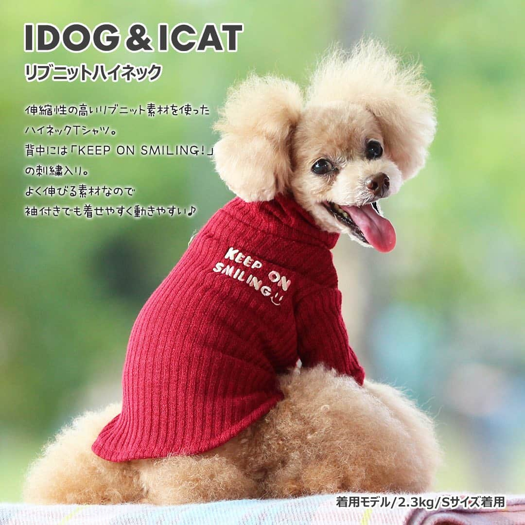 iDog&iCatさんのインスタグラム写真 - (iDog&iCatInstagram)「【1枚1080円～大人気プチプラウェア発売開始！】 . IDOG&ICATでは10/5より、販売開始しております♪ 楽天店舗URL：https://item.rakuten.co.jp/idog/c/0000000129/ . 今スグ着られるお手軽ウェアが4型UP♪ 在庫限りで販売終了になるので、お気に入りが見つかりましたら、お早目にどうぞ★ . IDOG&ICAT公式LINEをお友達登録でお得な情報をゲットしよう！LINE ID『 @idogicat 』で検索♪ . #iDog #iDogiCat #iCat #ペット服 #ドッグウェア #新作 #プチプラ #犬服 #犬の服 #犬の服iDog #犬 #超小型犬 #小型犬 #中型犬 #うちの子優勝 #キャットウェア #猫服 #猫の服 #猫の服iCat #猫 #わんすたぐらむ #dog #にゃんすたぐらむ #cat #チワワ #トイプードル #ミニチュアダックスフンド #MIX犬」10月6日 9時11分 - idogicat