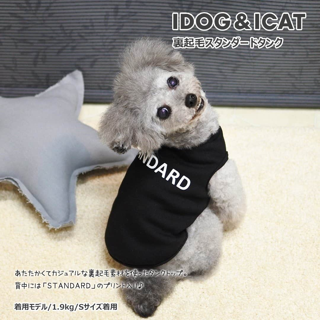 iDog&iCatさんのインスタグラム写真 - (iDog&iCatInstagram)「【1枚1080円～大人気プチプラウェア発売開始！】 . IDOG&ICATでは10/5より、販売開始しております♪ 楽天店舗URL：https://item.rakuten.co.jp/idog/c/0000000129/ . 今スグ着られるお手軽ウェアが4型UP♪ 在庫限りで販売終了になるので、お気に入りが見つかりましたら、お早目にどうぞ★ . IDOG&ICAT公式LINEをお友達登録でお得な情報をゲットしよう！LINE ID『 @idogicat 』で検索♪ . #iDog #iDogiCat #iCat #ペット服 #ドッグウェア #新作 #プチプラ #犬服 #犬の服 #犬の服iDog #犬 #超小型犬 #小型犬 #中型犬 #うちの子優勝 #キャットウェア #猫服 #猫の服 #猫の服iCat #猫 #わんすたぐらむ #dog #にゃんすたぐらむ #cat #チワワ #トイプードル #ミニチュアダックスフンド #MIX犬」10月6日 9時11分 - idogicat