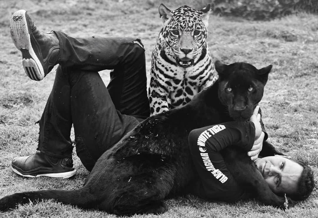 Black Jaguar-White Tiger さんのインスタグラム写真 - (Black Jaguar-White Tiger Instagram)「Los Niños :) #Cielis #MaTzu #SaveJaguars」10月6日 9時53分 - blackjaguarwhitetiger