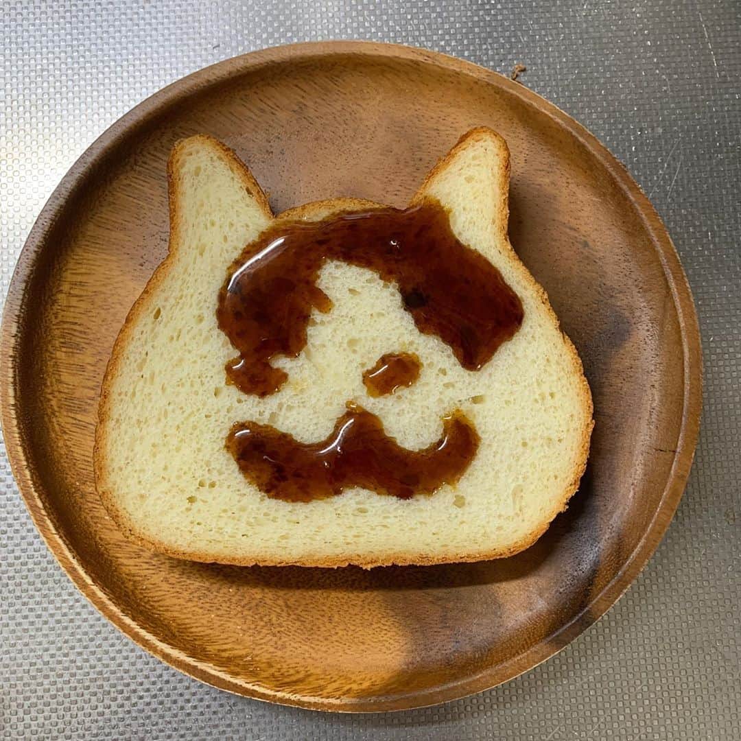 Kachimo Yoshimatsuさんのインスタグラム写真 - (Kachimo YoshimatsuInstagram)「大失敗！このへっぽこが！ てなわけで、ねこねこ食パンナナクロ化計画は、失敗に終わりました。 黒蜜チューブがドバーッと出るんだものと言い訳がましい事をゆうております。  まったくもう〜。  #うちの猫ら #ナナクロの絵 #ナナクロ #みんなのナナクロ展 #猫 #ねこ #cat #ネコ #catstagram #ネコ部 http://kachimo.exblog.jp」10月6日 10時08分 - kachimo