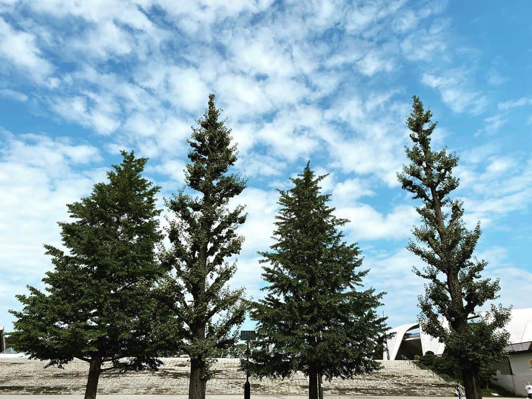 浅田信一のグルメインスタ