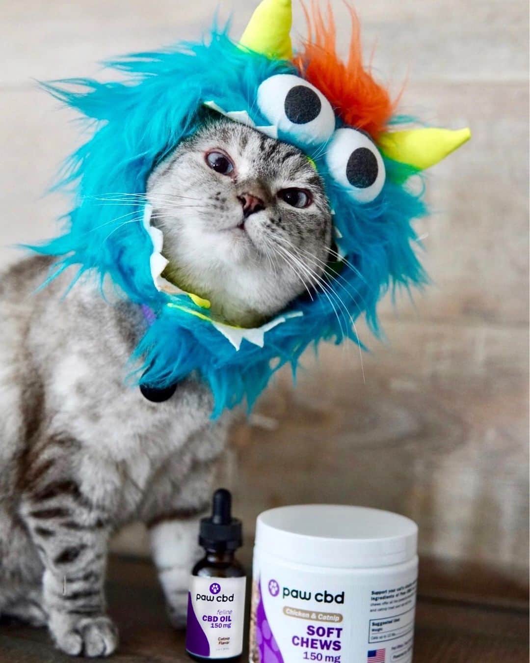 nala_catさんのインスタグラム写真 - (nala_catInstagram)「🎃Halloween costume contest! 🎉 Enter to WIN Paw CBD products for your pet in our Paw CBD's Howl-o-Ween Costume Contest!   📝 HOW TO ENTER: 1. post a pic of your pet in their Halloween costume on Instagram 2. tag @pawcbd in the photo 3. use #cbdhowloween in your caption  There will be Four $100 value weekly winners, PLUS a Grand Prize Winner will be chosen by vote at the end of the month. Anyone who has entered all month long is still eligible for the future weeks! Good luck my friends ❤️」10月6日 1時46分 - nala_cat
