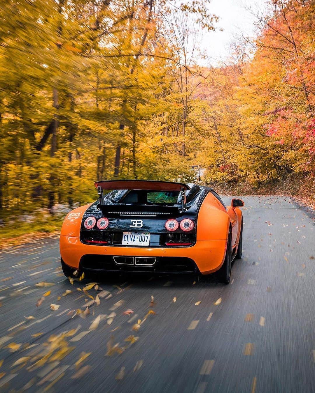 CarsWithoutLimitsさんのインスタグラム写真 - (CarsWithoutLimitsInstagram)「Bugatti Veyron #Vitesse  Owner @torontocarnut  Photos @zachbrehl  #carswithoutlimits #bugatti #veyron」10月6日 1時58分 - carswithoutlimits