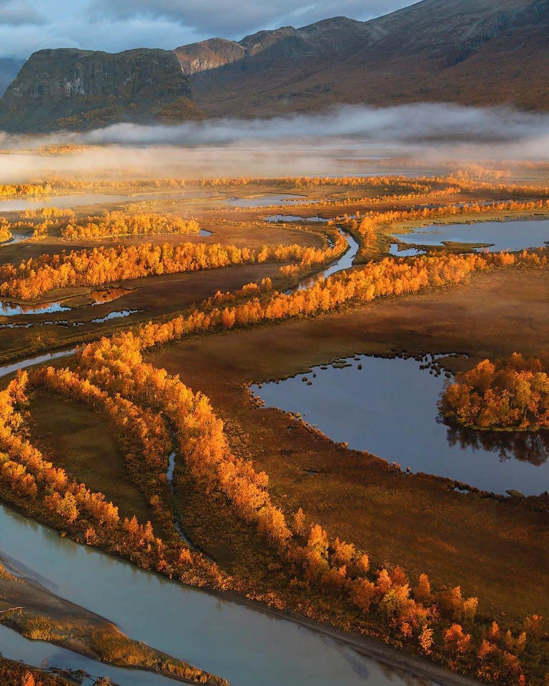 National Geographic Travelさんのインスタグラム写真 - (National Geographic TravelInstagram)「Photos by George Steinmetz @geosteinmetz / First light in Sarek National Park, Sweden. It’s rare to find deciduous trees north of the Arctic Circle, but many grow in Lapland. I had to wait for a week of mornings and afternoons with a helicopter on standby to catch this ephemeral light. All comes to those with patience. To view more of our world from above, follow @geosteinmetz.」10月6日 3時05分 - natgeotravel