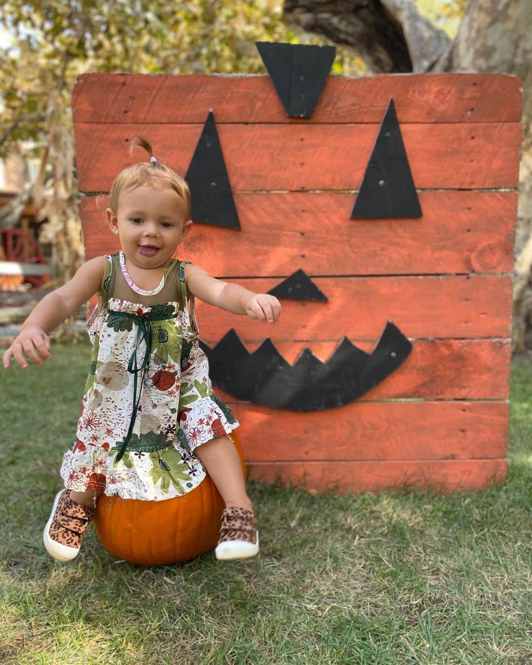 マッケンジー・ダーンのインスタグラム：「Moa at her first pumpkin patch 🧡🧡🧡」