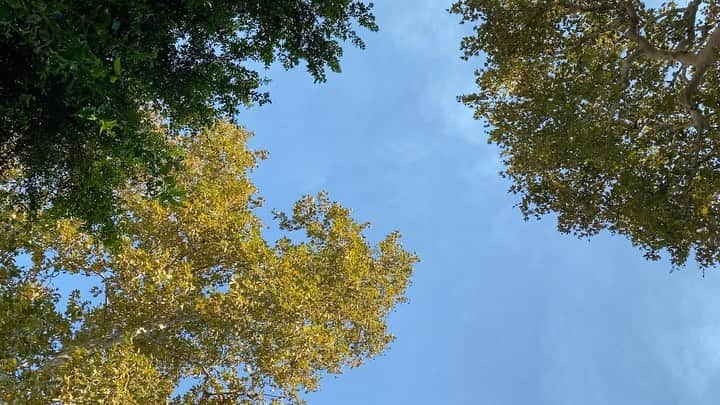 ロレンザ・イゾのインスタグラム：「A dose of nature for your feed on this Monday, one I’ll protect with my vote 🌍 Feliz lunes con dosis de naturaleza, que protejo con mi voto y acciones diarias 🍃」