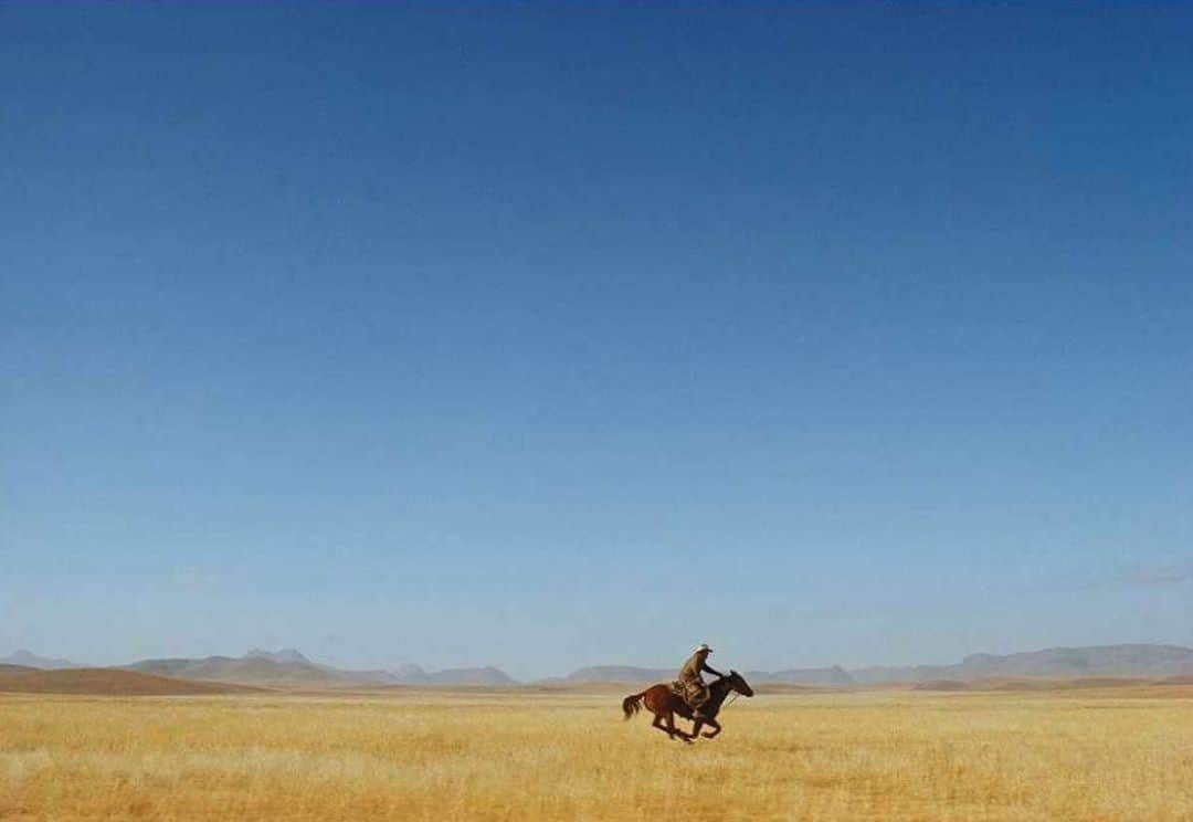 Robert Clarkさんのインスタグラム写真 - (Robert ClarkInstagram)「As I have mentioned before, William Albert Allard's work is one of the reasons that I wanted to become a photographer. Lone Rider, the cover for his Iconic book, Vanishing Breed, about the disappearance of the Cowboy in the American West is such a compelling image. It makes me want to see more. You can own one of his pictures. Shot on the beautiful Kodachrome 64, the palate is unmistakeable combined with Bill's composition and aesthetic it is hard to compare the work to anyone. My colleague and friend is offering this print along with others, as part of his annual flash sale. This flash sale print is a 6” x 9” image on a 9” x 11” paper. It is produced with archival ink on archival watercolor paper and signed with graphite pencil on the front border. It is a perfect gift for a young aspiring photographer or anyone who loves photography. “This is perhaps one of my most iconic images, certainly of my work on the American West. If I have one single image that kind of sums up my feeling about the American West it is probably this picture. Wide-open spaces, men, and horses. Solitude.” To see more, visit www.williamalbertallardflashsale.com or visit @ WillianAlbertAllard and click on the link in his bio. Photo by @williamalbertallard – Lone Rider / Texas, 1974」10月6日 4時50分 - robertclarkphoto