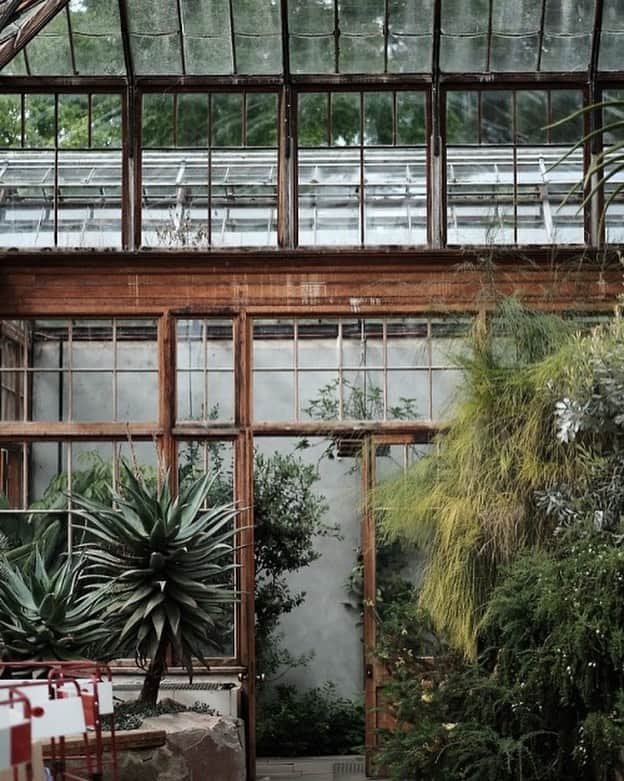 カレントエリオットのインスタグラム：「greenhouse #goals 🌿 📷: @sixstreetunder」