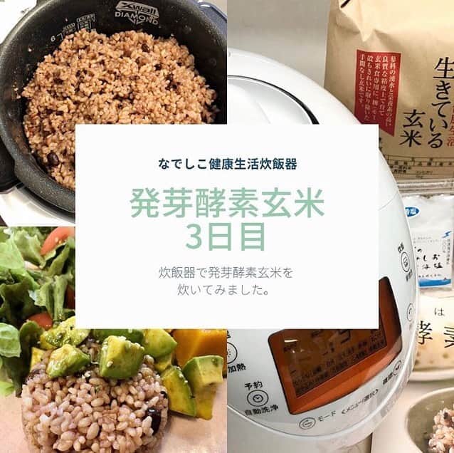 なでしこ健康生活さんのインスタグラム写真 - (なでしこ健康生活Instagram)「Repost from @nozomi_goto26  【発芽酵素玄米3日目】﻿ ﻿ なでしこ健康生活での初酵素玄米﻿ ﻿ まずは炊飯器のレシピ通りにやってみました。﻿ 今日で3日目✨﻿ 炊き上がりから比べると、色も濃くなって﻿ もっちもち🧡﻿ ﻿ 楽しみにしていたのは、﻿ このもちもち感✨﻿ ﻿ やっぱり酵素玄米の、もちもち食感が大好きです。﻿ ﻿ 🍚発芽酵素玄米3日目﻿ 🍚大好きなアボカドトッピング﻿ 🍚野菜サラダ﻿ 🍚蒸した栗カボチャ﻿ 🍚枝豆﻿ 🍚切り干し大根としめじのお味噌汁﻿ お味噌汁に酒粕を少し入れるのが私の中で流行っていて、最近は酒粕をちょっぴり入れたお味噌汁を作っています。﻿ もう一つ、誰に教えていただいたか忘れちゃいましたが、切り干し大根を入れると出汁がでて美味しかった。またやってみよう~。﻿ ﻿ ﻿ #なでしこ健康生活公式アンバサダー #なでしこ健康生活 #免疫アップレシピ　#宅メシ　#酵素玄米  #酵素玄米炊飯器　#発芽玄米炊飯器　#発酵発芽玄米 #発芽酵素玄米  #発酵玄米 #寝かせ玄米 #酵素玄米ごはん　#玄米　#玄米酵素ブレンド　#炊飯器レシピ　#発酵食　#玄米食 #おうちごはん #オーガニック #免疫力アップ #インナービューティー #腸活 #健康美食 #ローフード #ベジ #ビューティーソウルフード #ビューティーソウルフードデザイナー﻿ @nadeshiko_healthy_life﻿ @beaty_soulfood_nozomi﻿ @nozomi_goto26」10月6日 5時11分 - nadeshiko_healthy_life