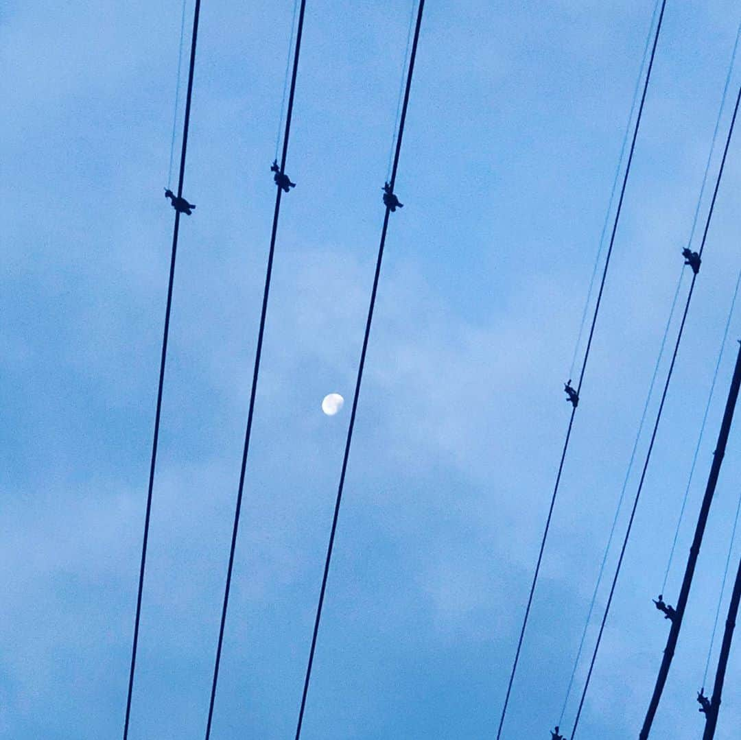 吉岡麻由子さんのインスタグラム写真 - (吉岡麻由子Instagram)「#明け方 ﻿ #月﻿ #🏙#🌖 #冷えてきましたね ﻿  人に会って喋ることはとても大事だな、﻿ と　改めて思わせていただいた 明け方です。﻿ ﻿」10月6日 5時32分 - mayuko.1017