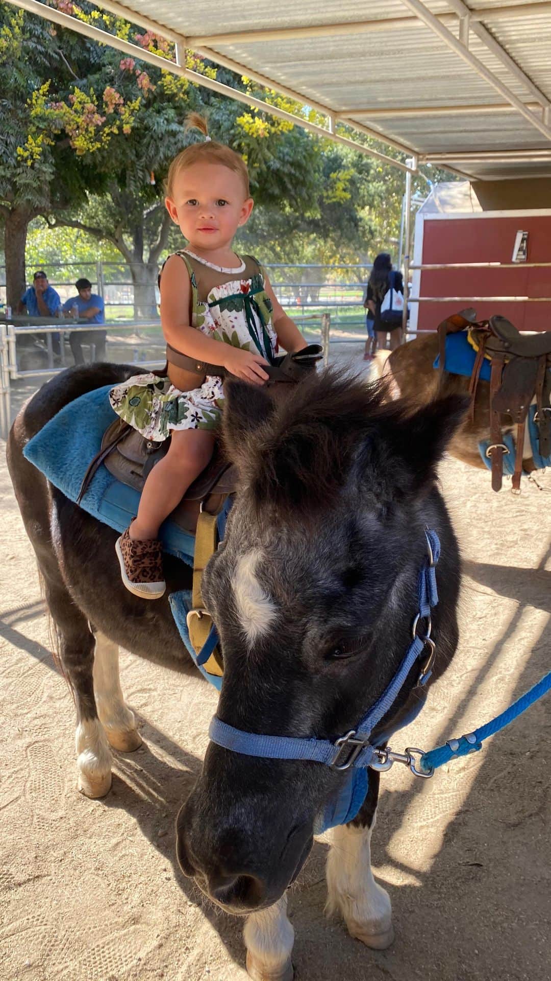 マッケンジー・ダーンのインスタグラム：「Moa horseback riding  • • UPA CAVALINHO 🐴」