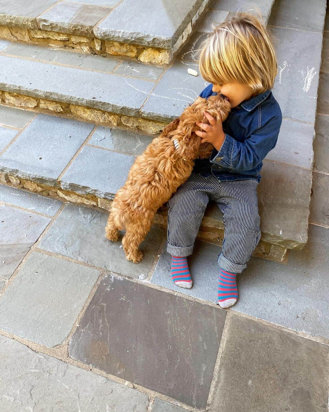 ジェシー・ベイリンのインスタグラム：「puppy kisses will get us thru this last leg of 2020.」