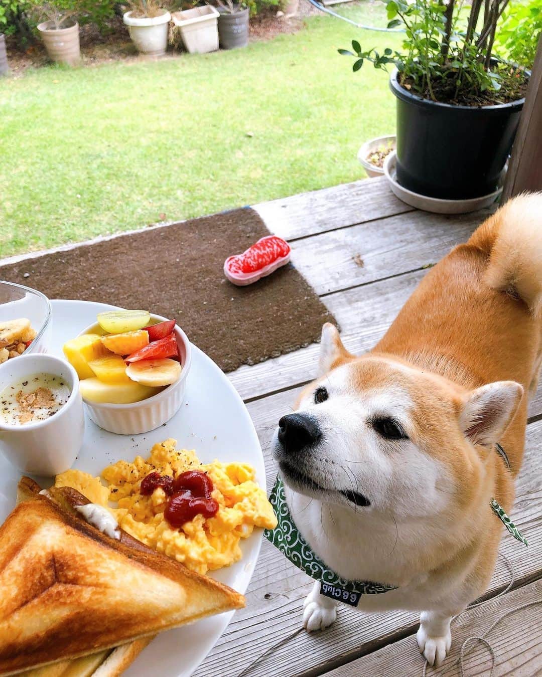 豆助左衛門（まめすけざえもん）のグルメインスタ