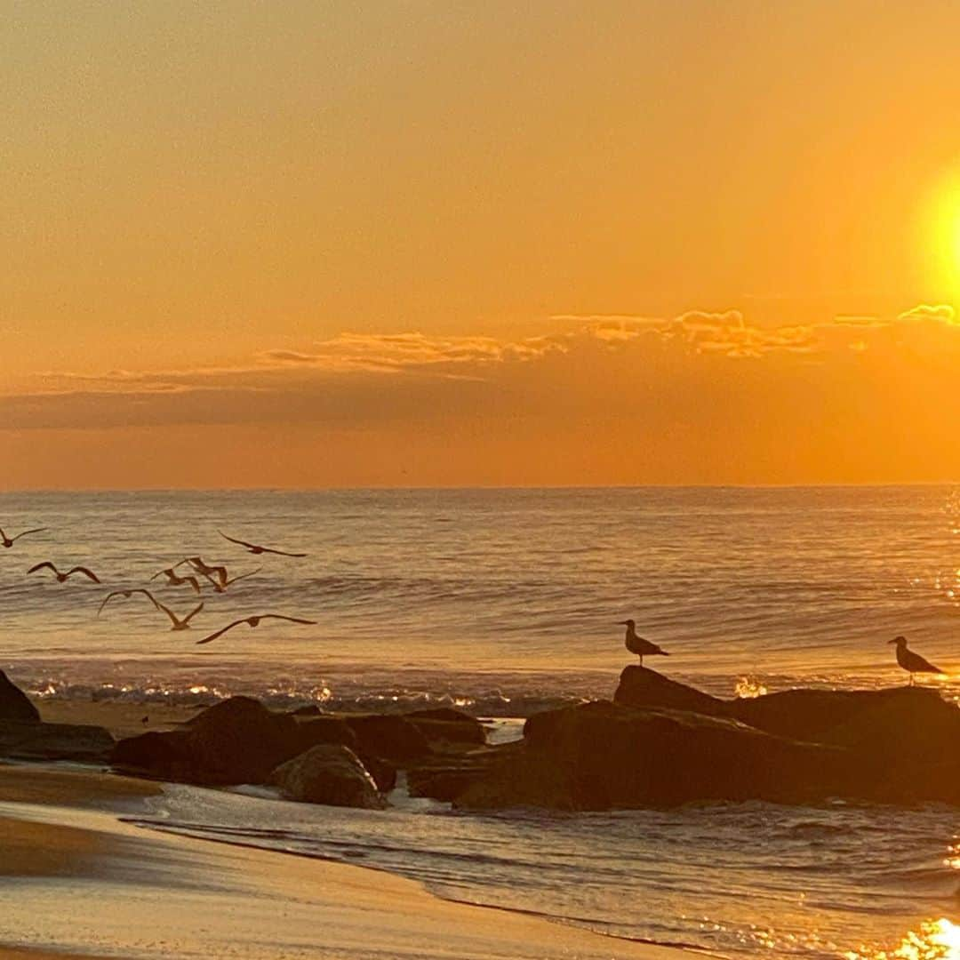 アリス&トリクシーのインスタグラム：「Some stand still while others take off.... . . . . . . . . . .  #hamptons #hamptonsstyle #hamptonslife #beach #beachlife #beachvibes #sunrise #sunrisephotography #shotoniphone #unfiltered #bird #birdsofinstagram #birdlovers #sea」