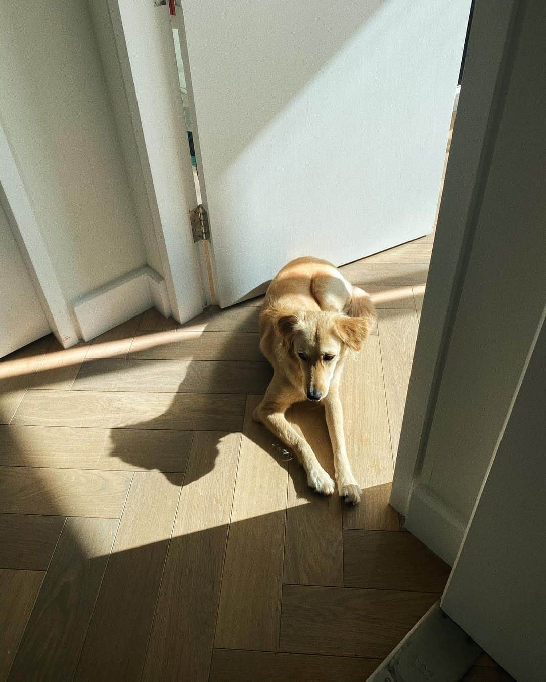 Estée Lalondeのインスタグラム：「Moody Monday 🖤」