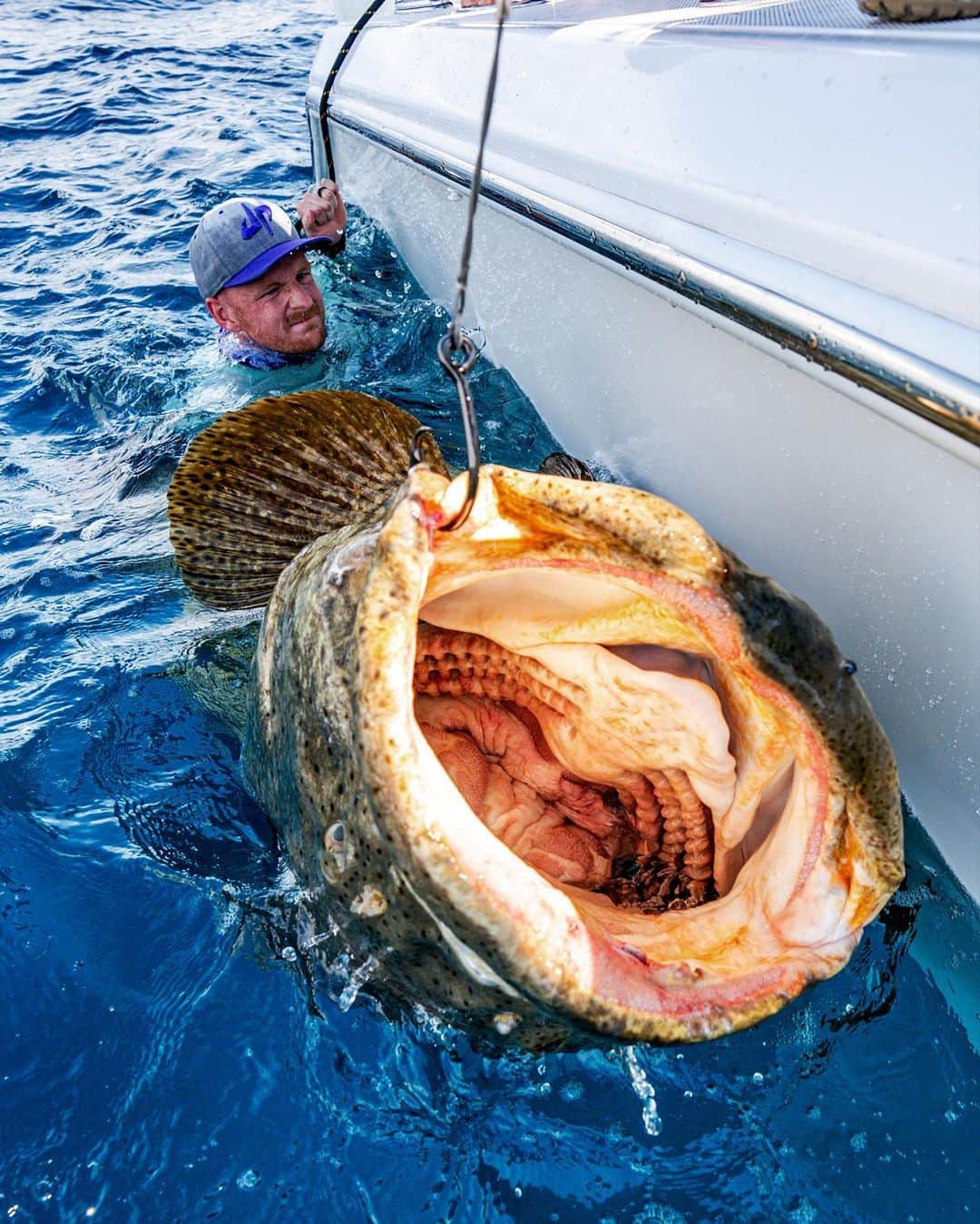 Dude Perfectさんのインスタグラム写真 - (Dude PerfectInstagram)「Catching fish as big as CARS! 🎣🚗 // Goliath Grouper Battle with @blacktiph is insane! (link in bio)」10月6日 7時02分 - dudeperfect