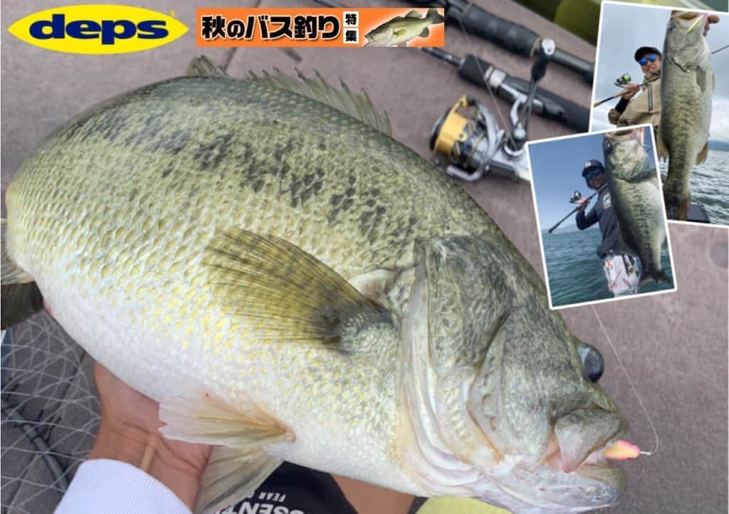 LureNews.TVのインスタグラム