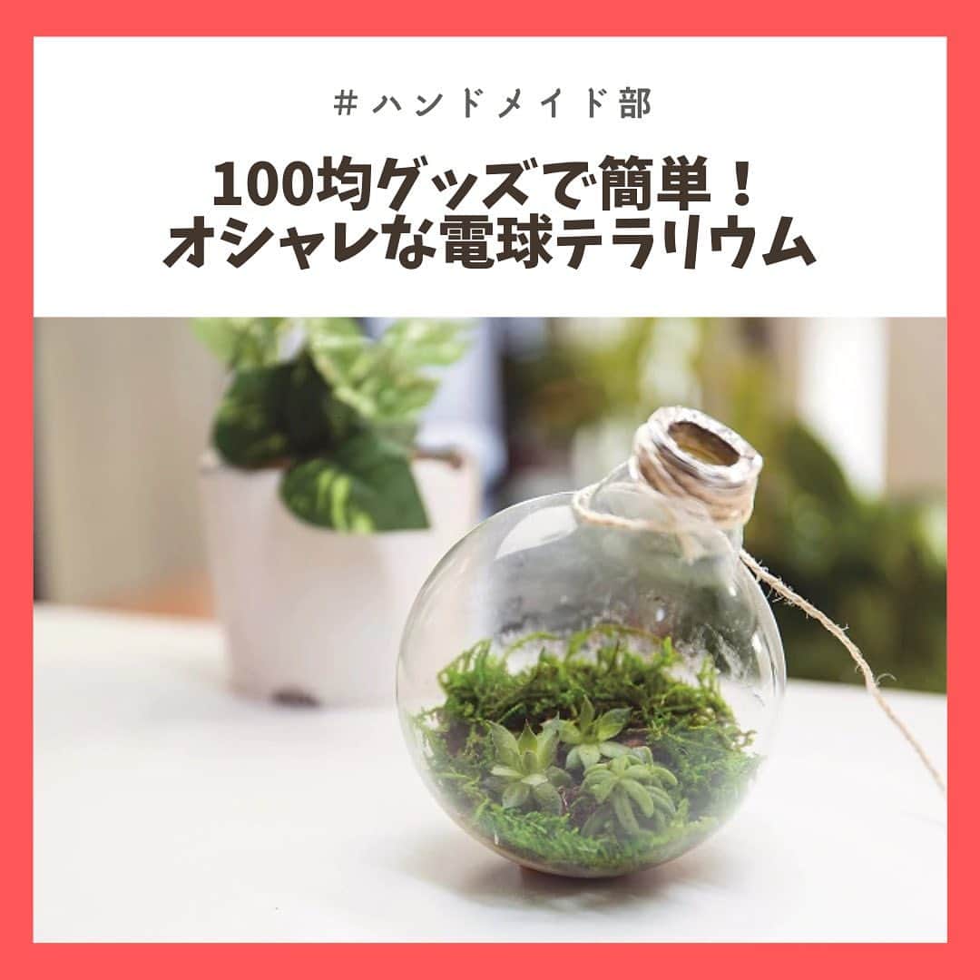 のインスタグラム：「使い終わった電球を「電球テラリウム」にリメイク💡🧡﻿ ﻿ お気に入りの多肉植物を入れて楽しみましょう❕お部屋にかざると癒されます🌱﻿ ﻿ -----------------------------﻿ 文＝西川将広(エヌプラス)﻿ 写真＝莇大介(エヌプラス)﻿ -----------------------------﻿ ﻿ 記事の詳細はプロフィールTOPのURLよりチェック🛫﻿ ﻿ ﻿ #テラリウム﻿ #chintai_handmaid﻿ #chintai_DIY﻿ #ハンドメイド部﻿」