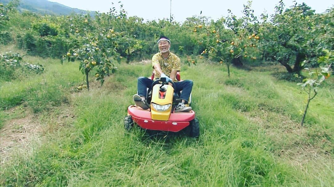 テレビ西日本「ももち浜ストア」さんのインスタグラム写真 - (テレビ西日本「ももち浜ストア」Instagram)「温泉に、水炊きに、柿狩り…秋ですね〜🌾どんだけ久留米推しなんだ！と思われた方もいらっしゃると思いますが、この時期はホントにオススメなんです☝️約2,000体ある河童像を見つけにお出掛け下さい🙊  ももちタイムズ ◆予約殺到！久留米日帰り体験ツアー🚘 今回は、08年からスタートした体験型の観光プログラム「久留米まち旅博覧会」の魅力を特集しました。  【紹介した体験プラン】 ・九州歴史資料館バックヤードツアー ・久留米水引細工でリングブローチ製作 ・草木染マスクづくりとシェフおまかせ特別ランチ ・如法頓写会 ※予約は「久留米まち旅博覧会」HPから ※きょう10/2 12:00〜予約開始  週末GO！ ◆エール旅 in 田主丸町🍁 高田課長が福岡県内のある町にお邪魔して新たな魅力を発見するとともに、DIYの技術を使ってお手伝い！今回はカッパ伝説が残る田主丸町が舞台です。  ①カパテリア 商品から関わる人まで「オール久留米」という地元に根付いたお店。カッパにちなんだメニューがいただけます。  【住所】田主丸駅構内 【電話】0943-72-5225 【営業時間】10:00〜17:00 【定休日】火曜日、年末年始 かっぱのマカロン　600円（3個･税込） カパテリアのスムージー　800円（税込） かっぱのカレー　単品1,100円（税込/土日祝限定） ※カレーは人気レストラン「Spoon」井上シェフ監修  ②右田果樹園 今月から柿狩りがスタート！  【住所】久留米市田主丸町地徳3024 【電話】0943-72-2729 太秋1kg 800円〜（税込） ※時期によって品種が異なります  ③ 片の瀬温泉 湯元 小林 町唯一の温泉旅館で豪華日帰りプランを満喫♨️ 【住所】久留米市田主丸町菅原2251-2 【電話】0943-73-7820  ※予約受付時間 8:00～22:00 日帰りプラン（11:00〜16:00） 入浴＋はかた水炊き＋休憩部屋 5,500円（税込）  #ももち浜ストア　#高橋巨典 #岡澤アキラ　#浜崎日香里 #高田課長　#あべてつあき #五十嵐悠香　#高木晴菜 #花田伸二　#久留米 #福岡　#福岡グルメ #田主丸町　#日帰り温泉 #秋グルメ　 #福岡の朝はももち浜ストア #久留米まち旅博覧会 #カパテリア #右田果樹園 #片の瀬温泉湯元小林 #DIY #テレvision8」10月2日 12時02分 - momochihamastore8