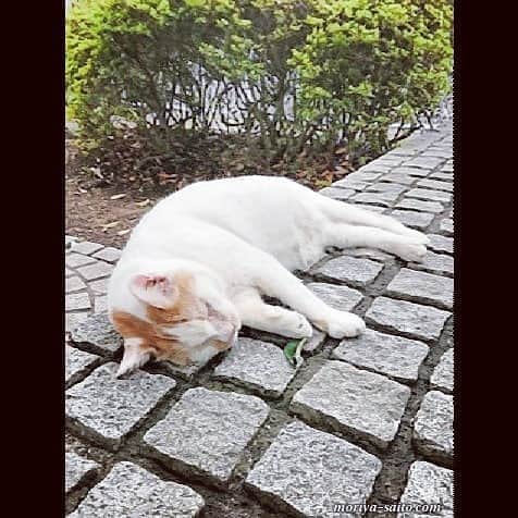 斎藤守也のインスタグラム