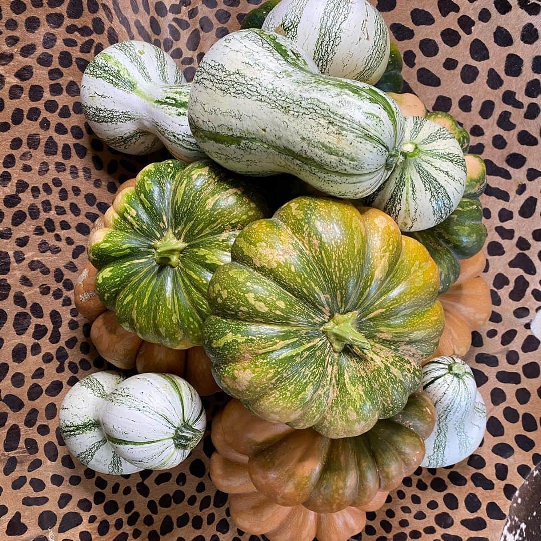 ケリスのインスタグラム：「We've got pumpkins !!!! Fall is officially here even if it is 100 degrees outside . Now I'm thinking what treats can I make for you guys with all these beauties ! Roasted seeds for sure but still tryna decide what else . Queen of the harvest over here ! Lol so gratifying ! #harvest #farmer #blackfarmers  #pumpkinspice」