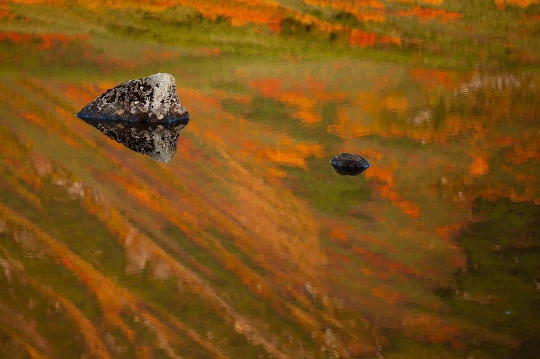 National Geographic Travelさんのインスタグラム写真 - (National Geographic TravelInstagram)「Photos by Michael Yamashita @yamashitaphoto / The first place in Japan to see fall colors and snow each autumn, Daisetsuzan (meaning "great snowy mountains"), is located in the center of the northernmost island of Hokkaido. At 2,267 square kilometers (875 square miles), it is the largest national park in Japan, preserving an area of virtually unspoiled wilderness. #Hokkaido #Daisetsuzan #Japan #fallfoliage #autumn」10月2日 5時06分 - natgeotravel