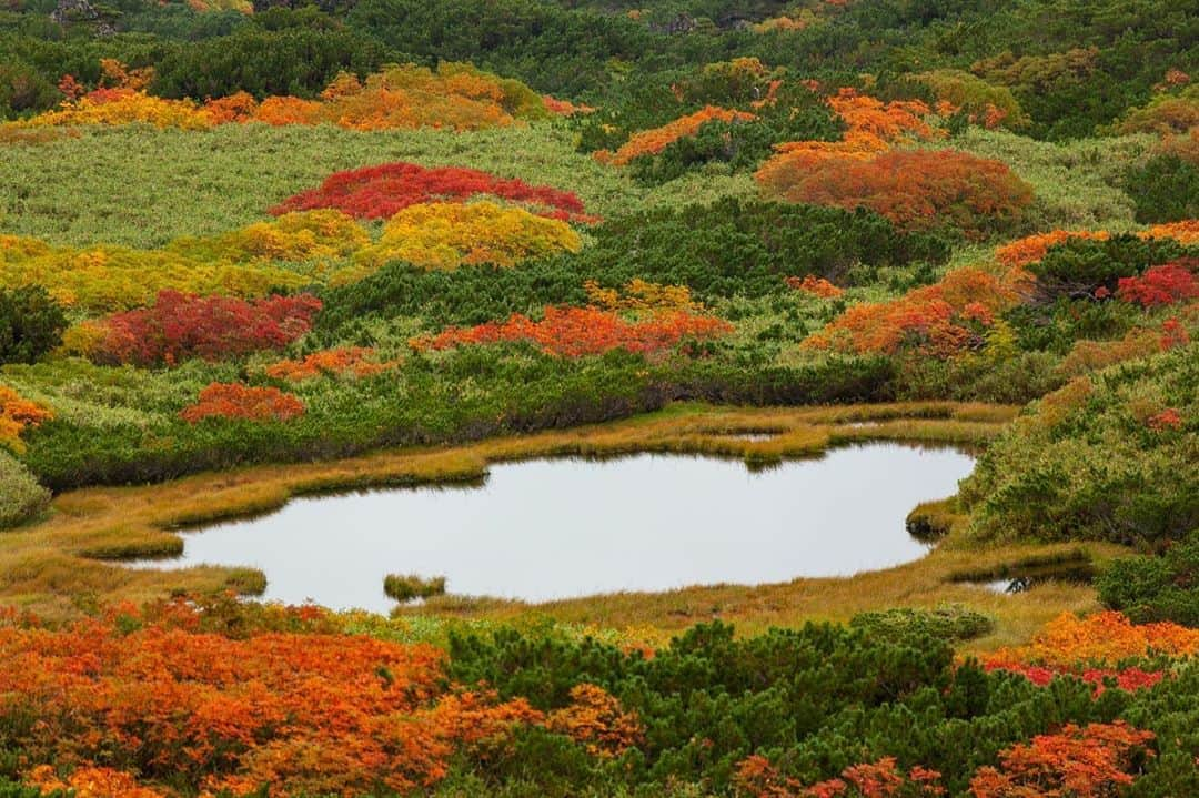 National Geographic Travelのインスタグラム