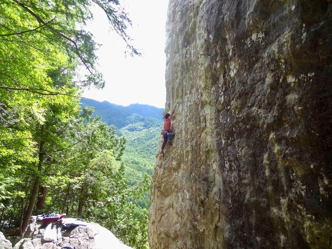 上岡絵理のインスタグラム：「イレギュラー🌱の上部は普通に落ちました😂💗 あ、私実はクライマーなんですよってくらいいつもストーリーふざけてます✨ この登ってるのは皆んな知ってる　#レギュラー　だよ💑💚 #マラ岩 天辺いつか折れそうと思うのは私だけ？ #クライミング #ボルダリング #アウトドア #クライマー #スポーツクライミング  #登山 #ほぼ毎日ストーリー #climbing #climb #rock #rockclimbing #sportclimbing #climblikeagirl #shortpersonbeta  #training #bouldering #outdoor #climber #sports」