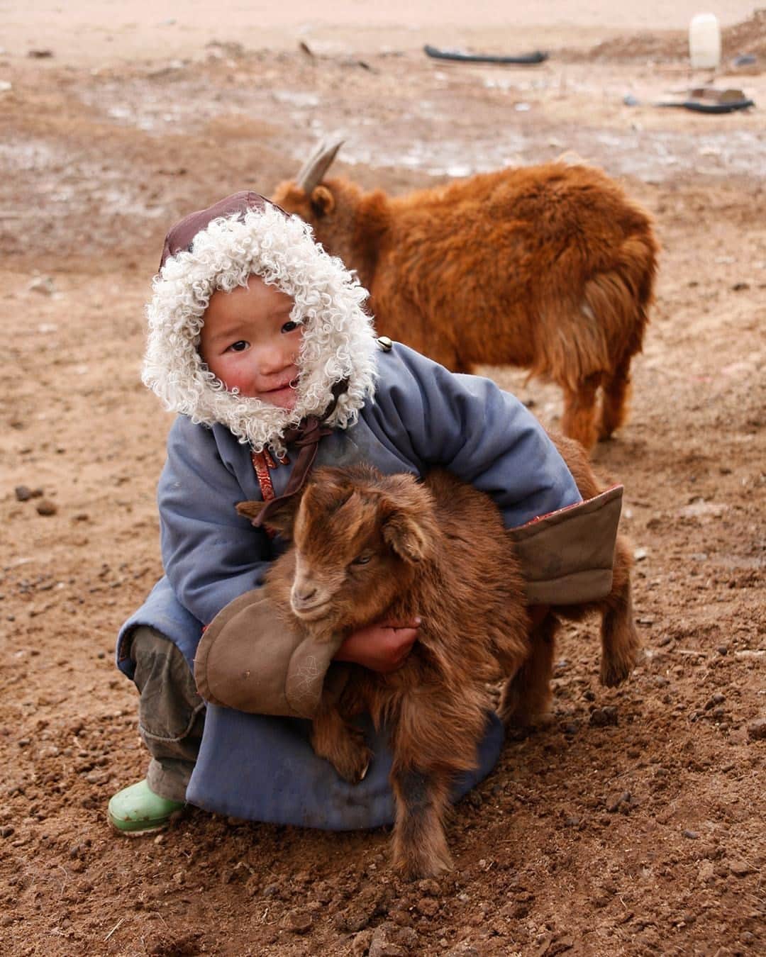 TED Talksのインスタグラム：「When it comes to living a sustainable, zero-waste lifestyle, this community is the 🐐 ! Khulan Batkhuyag (@khulan.batkhuyag) was born in Mongolia. She discovered an early talent for music, and by age 11, she was touring the world to perform. After her mother and father passed away when she was in her 20s, Khulan recalls, "I was devastated and lonely. At the time, the only thing I had left was my country, so I decided to move home." She traveled to rural Mongolia, where her parents came from, and reconnected with her roots. Over six years, she was welcomed by more than 20 families who lead nomadic lives. “I assumed that Mongolian nomads were hospitable out of kindness like anybody else," she says. "But then I realized it was more than that; it was about surviving as a community ... Today, it's a stranger who needs help, but tomorrow, it could be you." These families move their households — goats and cows included! — roughly 4 times a year, picking up and setting up their tent-like yurts wherever they decide to go. Watch Khulan’s full talk to see more of the amazing lives of Mongolian nomads — and learn what they can teach us about living in balance with each other and with nature. ⁠ ⁠ [Image: Rentsendorj Bazarsukh]」