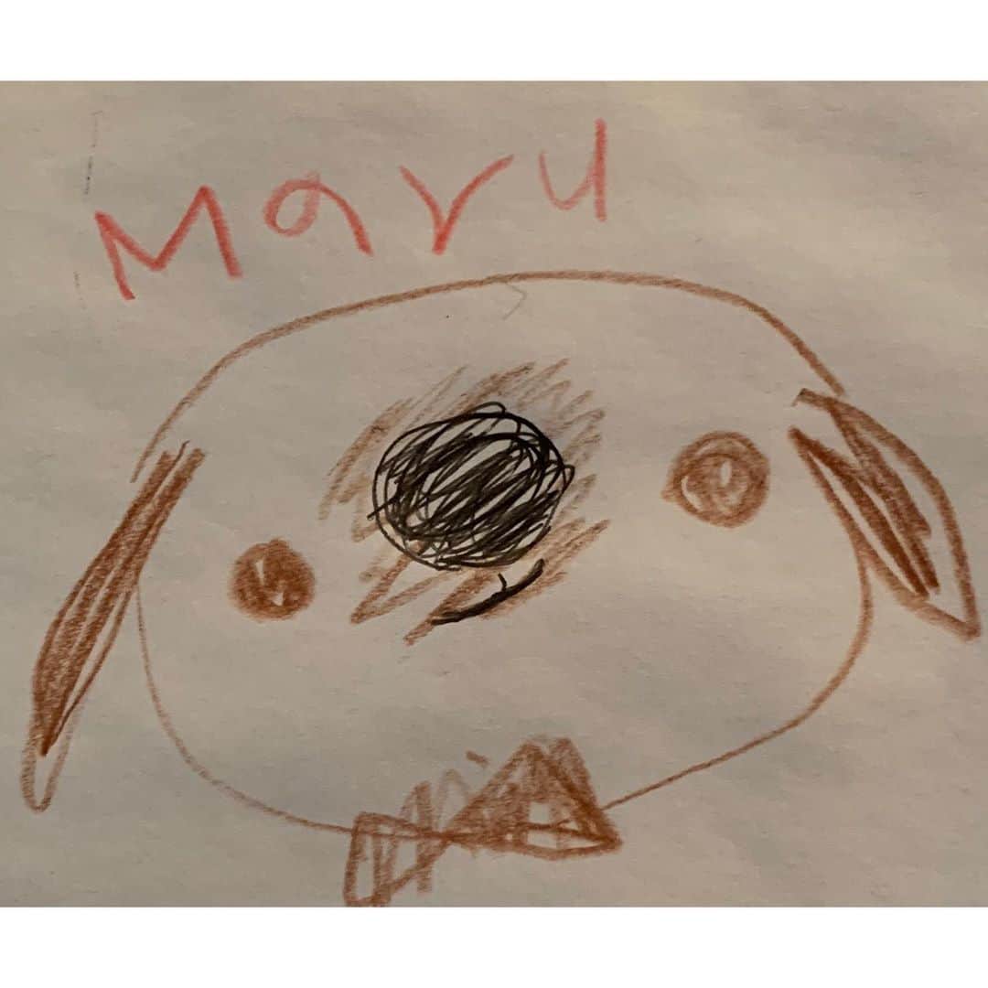 Maruさんのインスタグラム写真 - (MaruInstagram)「今年も姪画伯から まるさんの絵をプレゼントして頂きました。 . 夏に遊びに来ていた時に、 ササッとコピー用紙（笑）に描き始めた色鉛筆画と、そしてもう1枚は誕生日に描いてくれた水彩画でした。 ぜひスワイプしてくださいね！ 我が家のキッチンギャラリーの ほんの1部をポストしました。 5枚目が3歳の頃にはじめてまるちゃんを描いてくれた画伯の作品です🎨」10月2日 6時32分 - akiyomaru